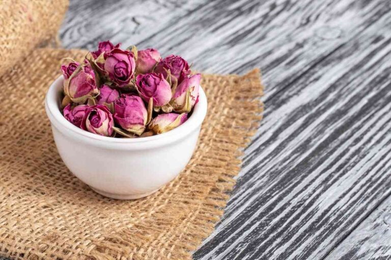 3 metodi infallibili per essiccare le rose e usarle come decorazione metodi per essiccare le rose