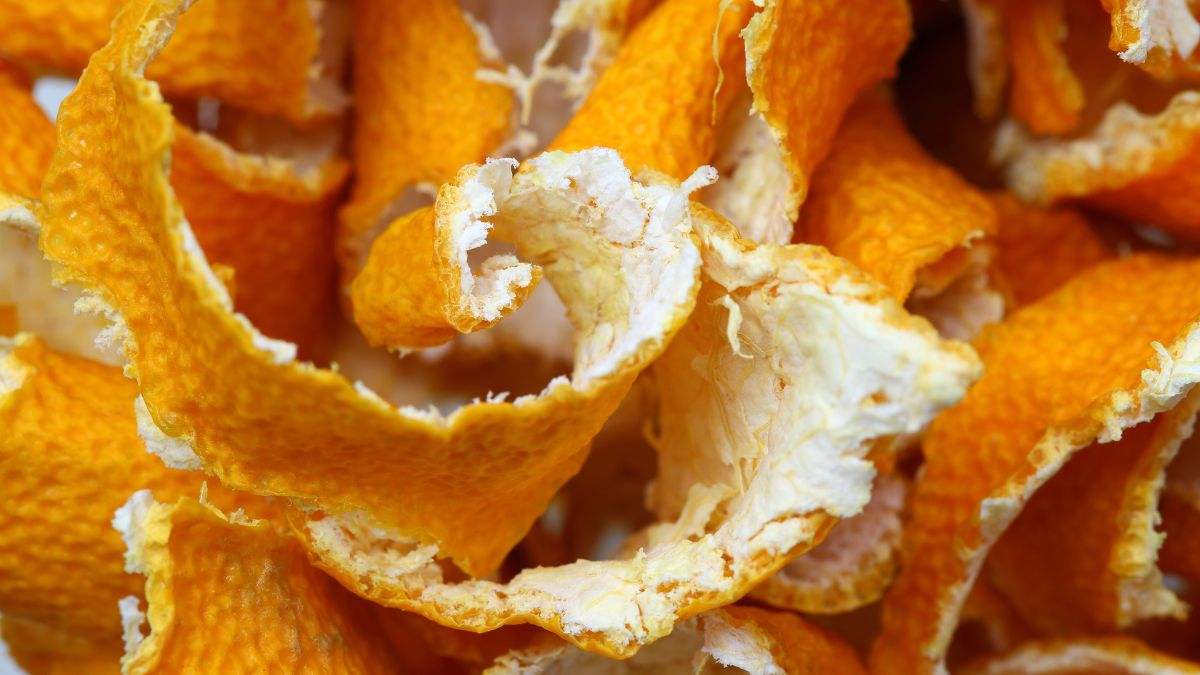 perché le bucce di agrumi fanno male al giardino