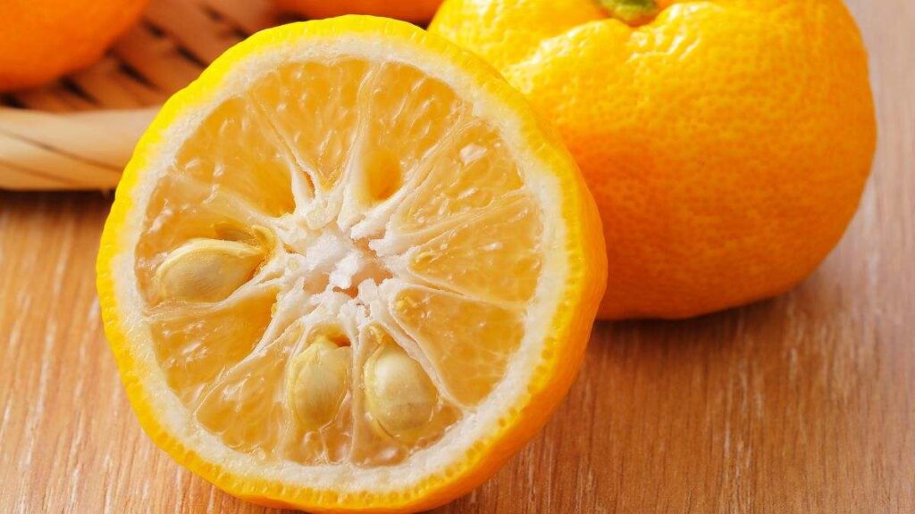 scopri come coltivare una pianta di mandarino partendo dai semi