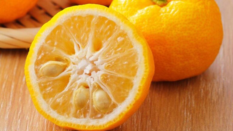 Sapevi che da un seme di mandarino puoi coltivare la tua pianta? Ecco come fare scopri come coltivare una pianta di mandarino partendo dai semi