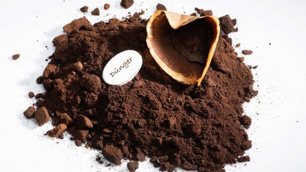 come usare i fondi del caffè per le pulizie