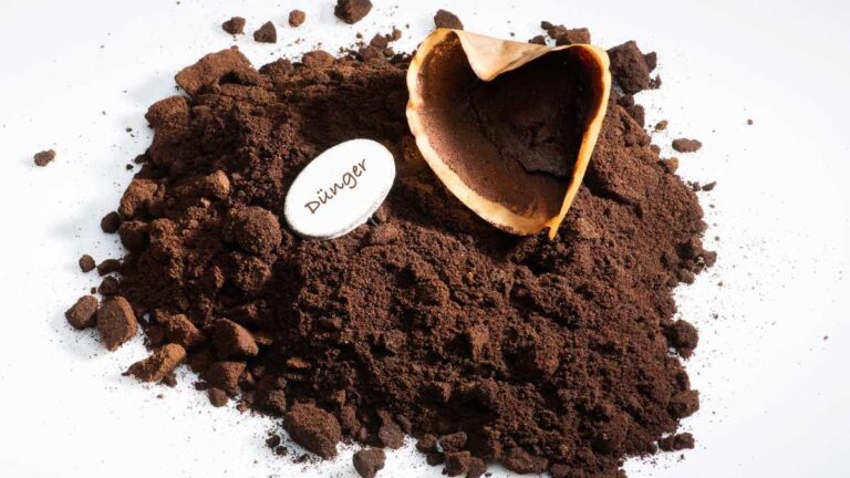 Trasforma i fondi di caffè in un potente detergente naturale per il piano cottura come usare i fondi del caffè per le pulizie