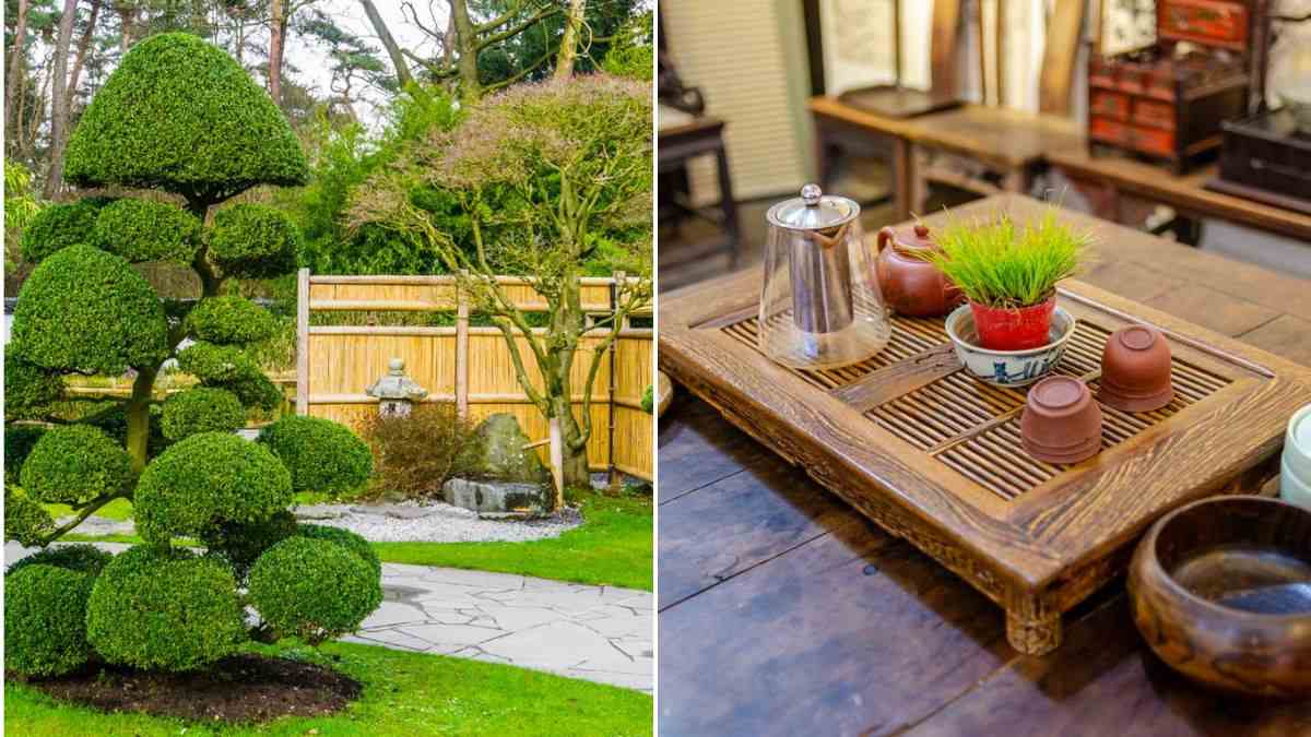 rendi il tuo giardino orientale