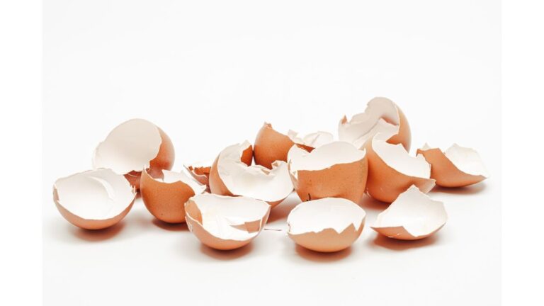 Non buttare i gusci d’uovo: scopri come trasformarli in gessetti colorati come creare gessetti con gusci d'uovo