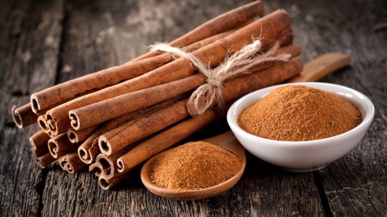 Cannella in giardino: i 6 usi segreti che ogni giardiniere dovrebbe conoscere Cannella in giardino