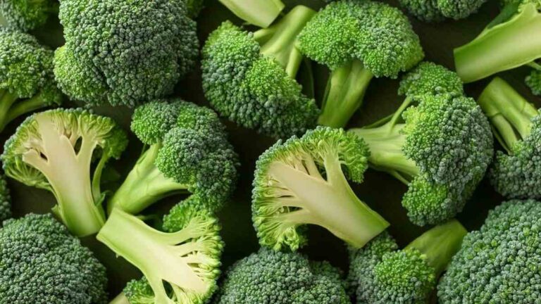 Non comprare più broccoli al supermercato: ecco come coltivarli facilmente a casa anche in vaso perché dovresti coltivare i broccoli a casa