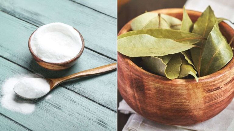 Non crederai ai benefici di alloro e bicarbonato: prova questo trucco scopri come usare l'alloro e il bicarbonato in casa