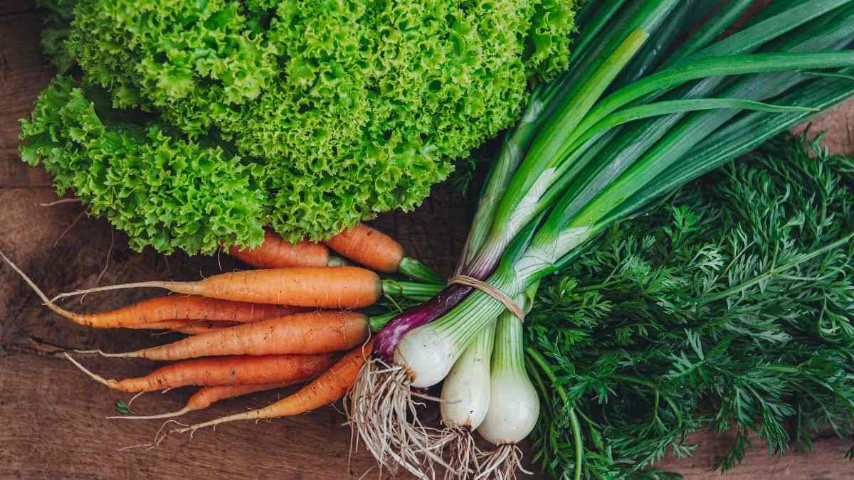 quali sono gli ortaggi da coltivare in inverno