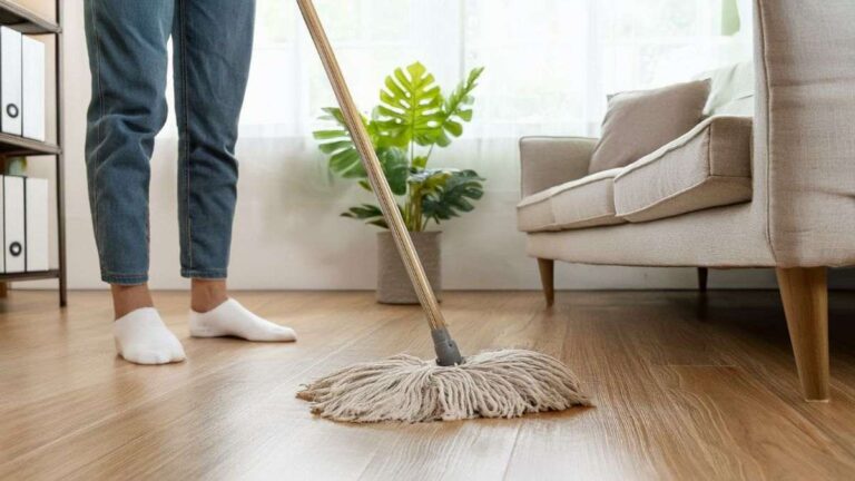 Scopri perché dovresti mettere una foglia di alloro nel secchio del mocio come rendere la pulizia dei pavimenti più efficace