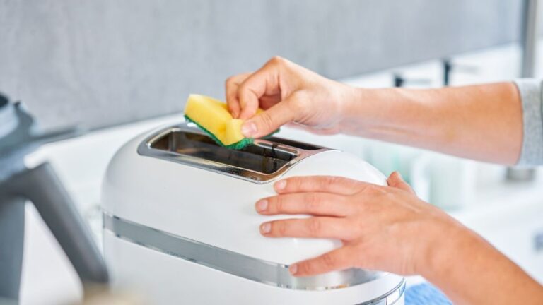 Pulizia facile e veloce del tostapane: ecco come farlo funzionare sempre al meglio come pulire il tostapane in maniera corretta