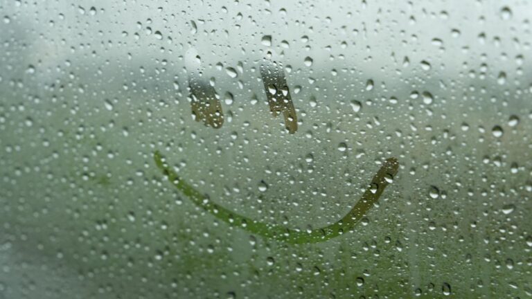 Mai più vetri appannati in auto! 5 metodi casalinghi che risolvono il problema in pochi minuti I 5 rimedi fai da te per spannare i vetri delle auto