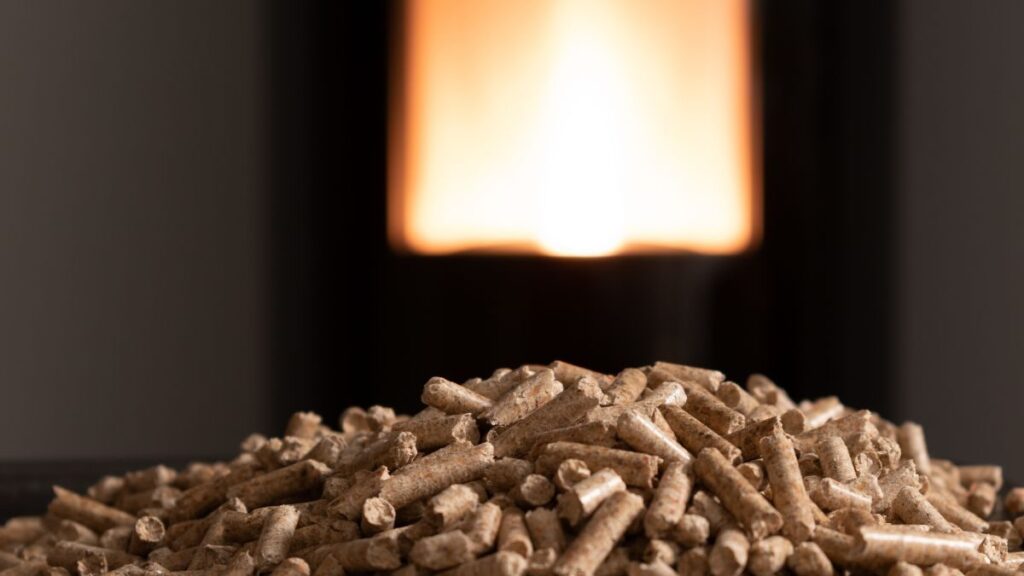 scopri come usare la cenere della stufa a pellet