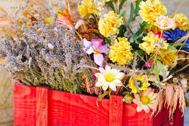 Come decorare casa con i fiori secchi