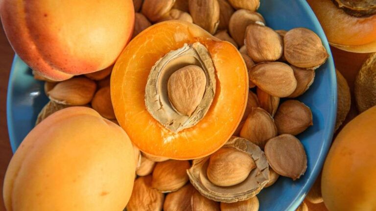 Non buttare mai i noccioli di albicocca: 5 modi sorprendenti per riutilizzarli! cosa fare con i noccioli delle albicocche