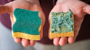 sai quand'è che le spugne da cucina diventano pericolose?