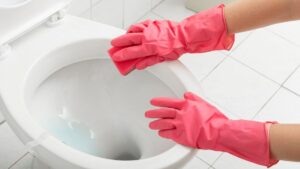 schiarire la tavoletta del water