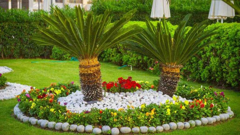 Giardino fai da te: idee creative per decorare il tuo spazio con i sassi come usare i sassi per decorare il giardino