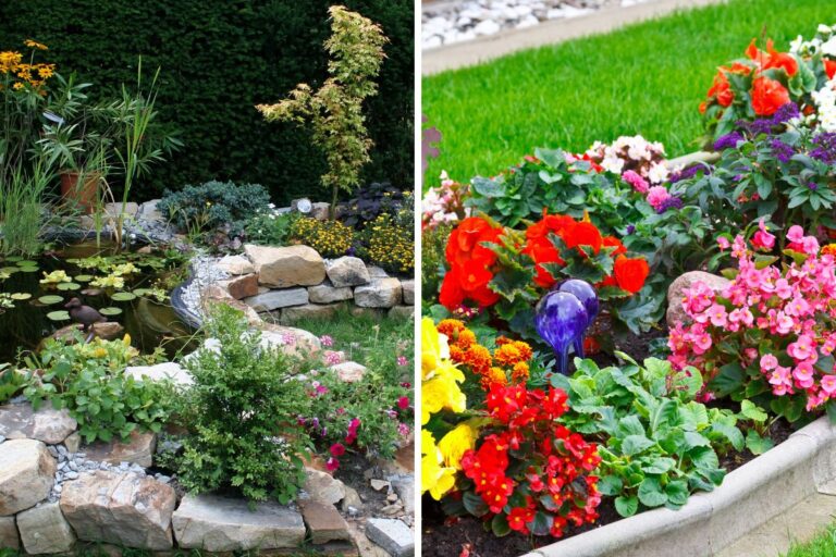 Aiuole fiorite: porta un’esplosione di colori nel tuo giardino con queste idee Aiuole di fiori