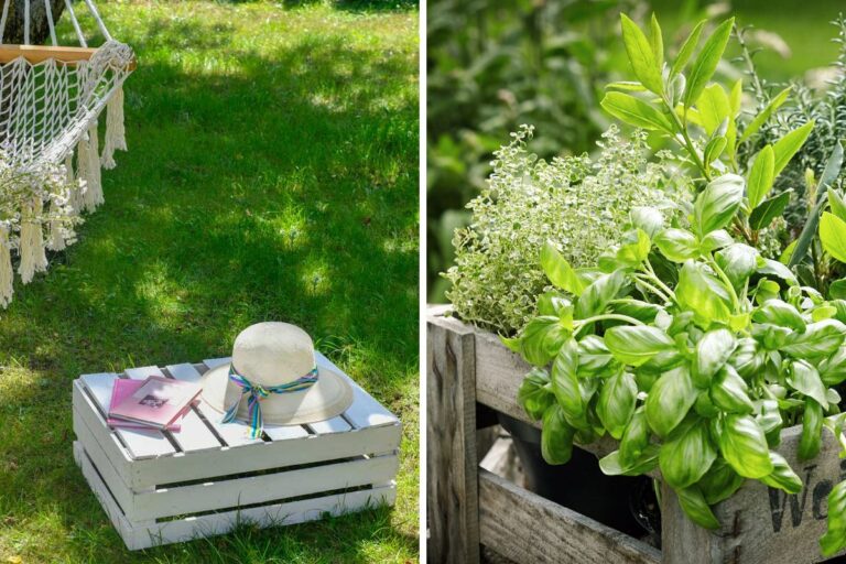 Cassette di legno: il tocco shabby chic perfetto per un giardino creativo Cassette di legno riciclo creativo
