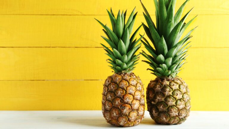 Come far germogliare ananas e lattuga senza semi: il segreto degli esperti Come far germogliare ananas e lattuga