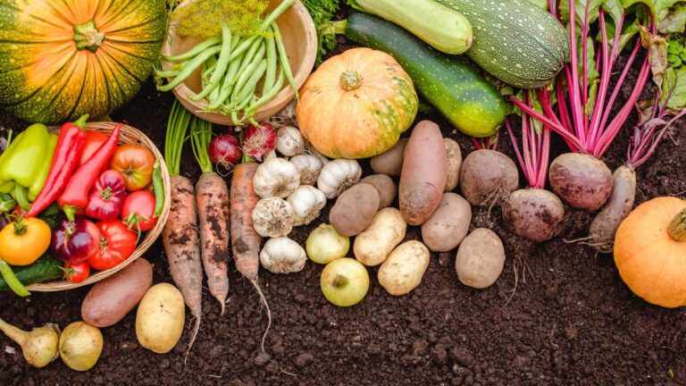 Marzo in giardino: le piante e gli ortaggi da seminare adesso Cosa seminare a marzo