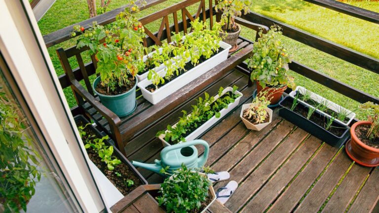 Marzo è il mese perfetto per l’orto sul balcone: le verdure da seminare ora Marzo cosa piantare nell'orto sul balcone
