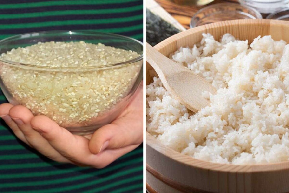 Usare il riso come concime